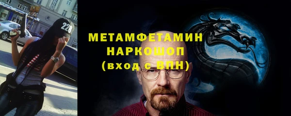крисы Инта