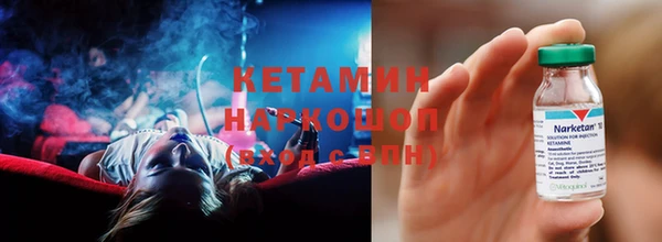 крисы Инта