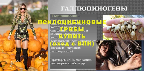 ALPHA-PVP Инсар