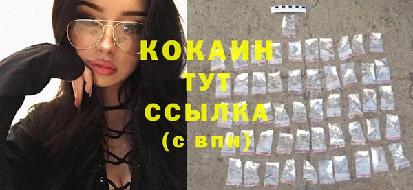 сатива Заволжье