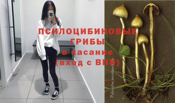 крисы Инта