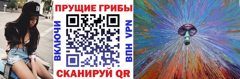 Галлюциногенные грибы Cubensis  OMG ссылки  Сибай 