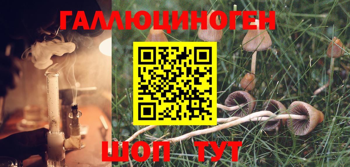 Псилоцибиновые грибы прущие грибы  Сибай 