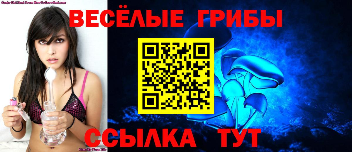 Псилоцибиновые грибы Psilocybine cubensis Сибай