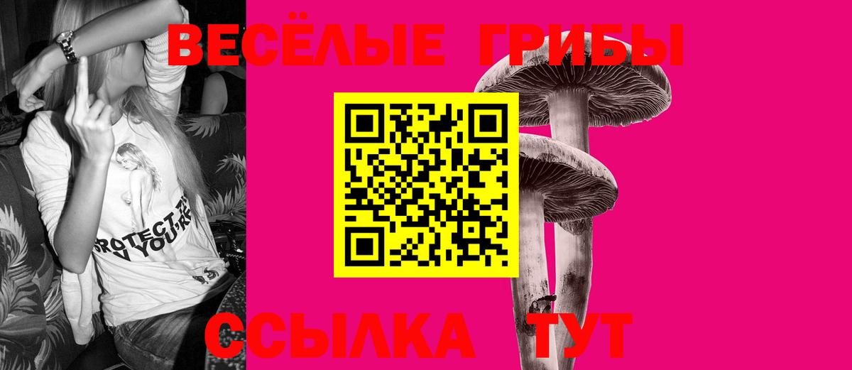 Сибай  Псилоцибиновые грибы прущие грибы  Псилоцибиновые грибы мицелий  Вход с VPN 